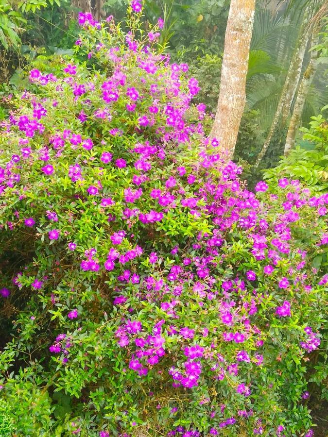 טקאדי Spring And Valley View מראה חיצוני תמונה